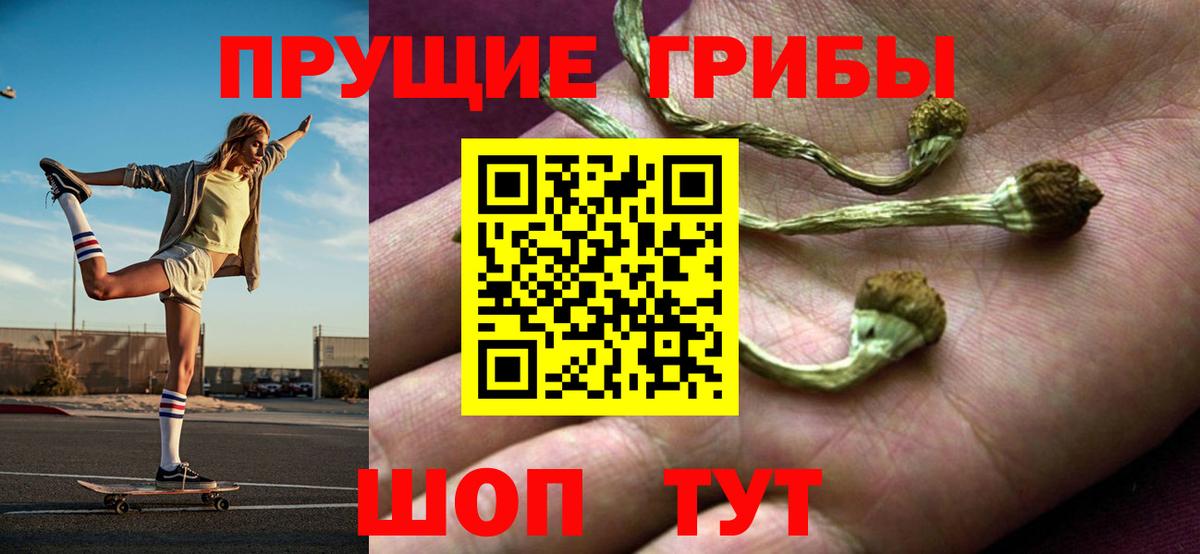 Псилоцибиновые грибы мухоморы  Вход с VPN  наркота  Ярцево 